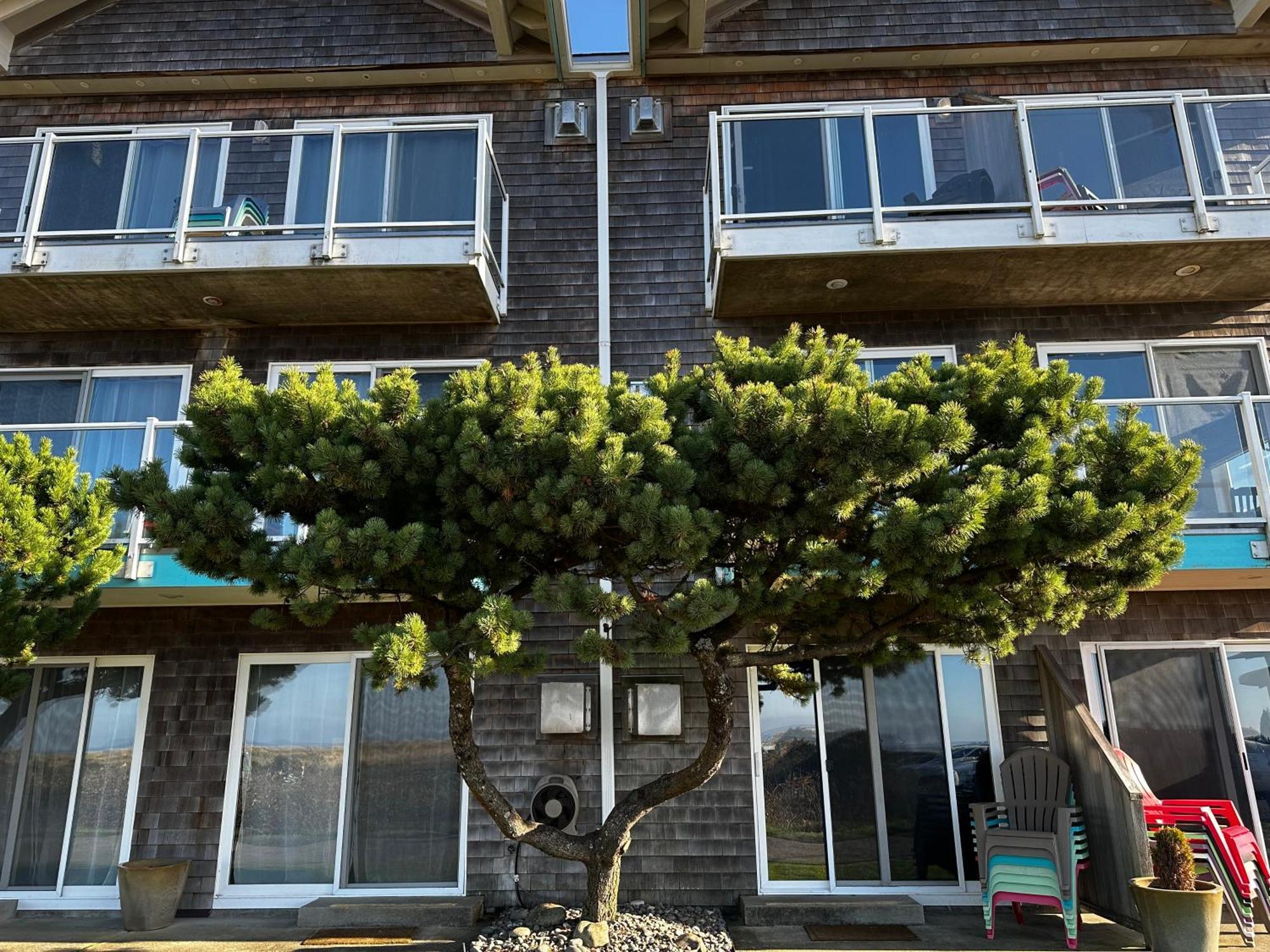 Inn At The Shore Seaside Eksteriør billede